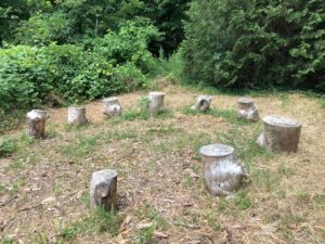 A ring of stumps with flattened tops for seating